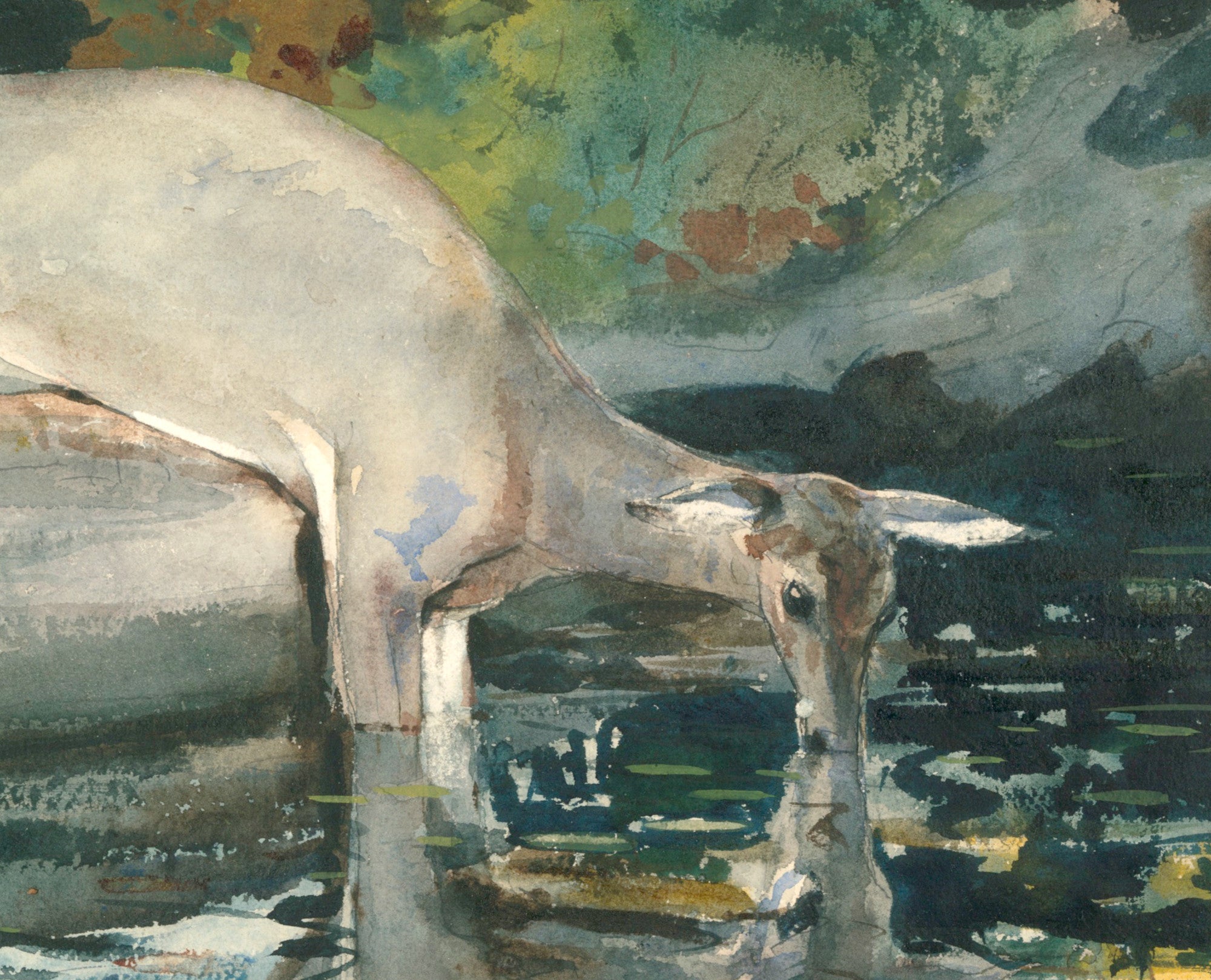 Winslow Homer Fine Art Print :  Deer Drinking