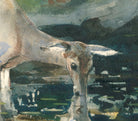 Winslow Homer Fine Art Print :  Deer Drinking