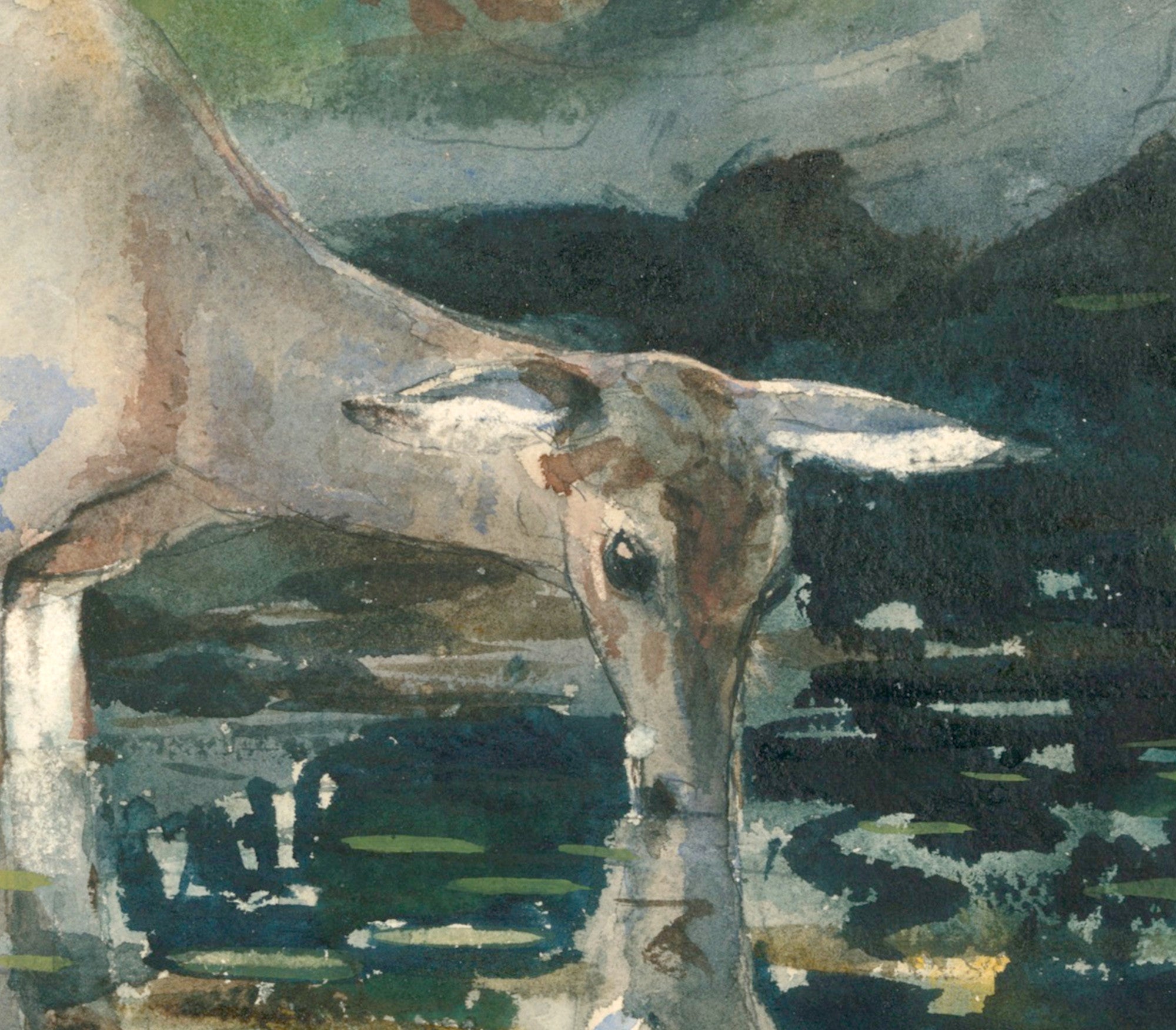 Winslow Homer Fine Art Print :  Deer Drinking