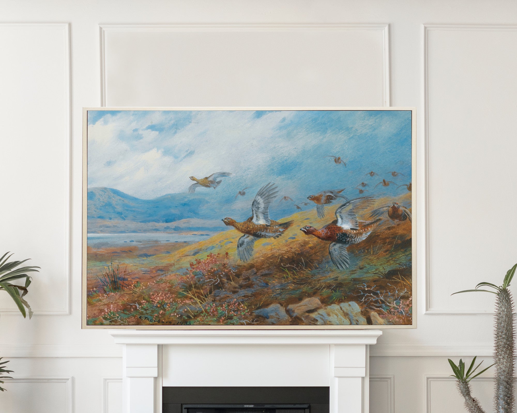 Driven Grouse, Archibald Thorburn, Birds Print