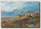 Driven Grouse, Archibald Thorburn, Birds Print