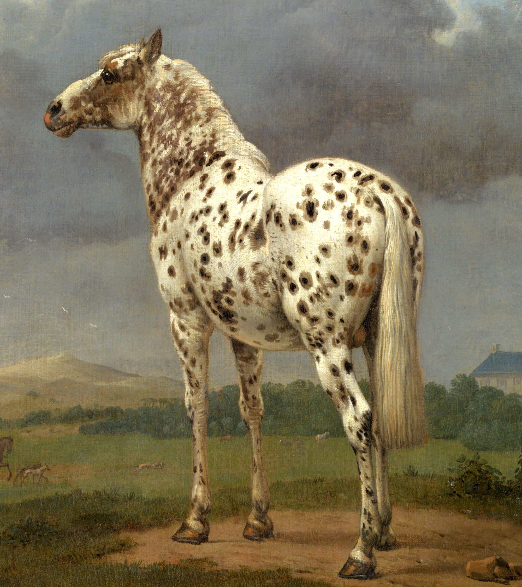 Paulus PotterFine Art Print, The Piebald Horse