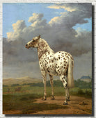 Paulus PotterFine Art Print, The Piebald Horse