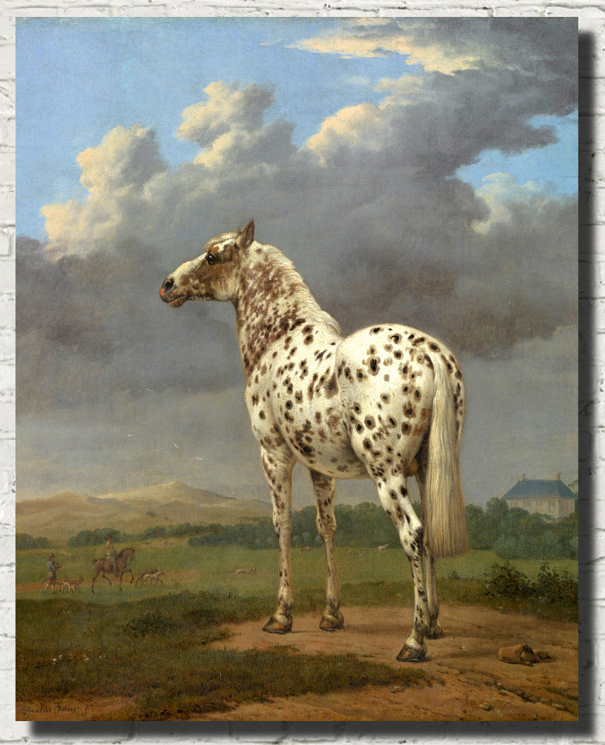 Paulus PotterFine Art Print, The Piebald Horse