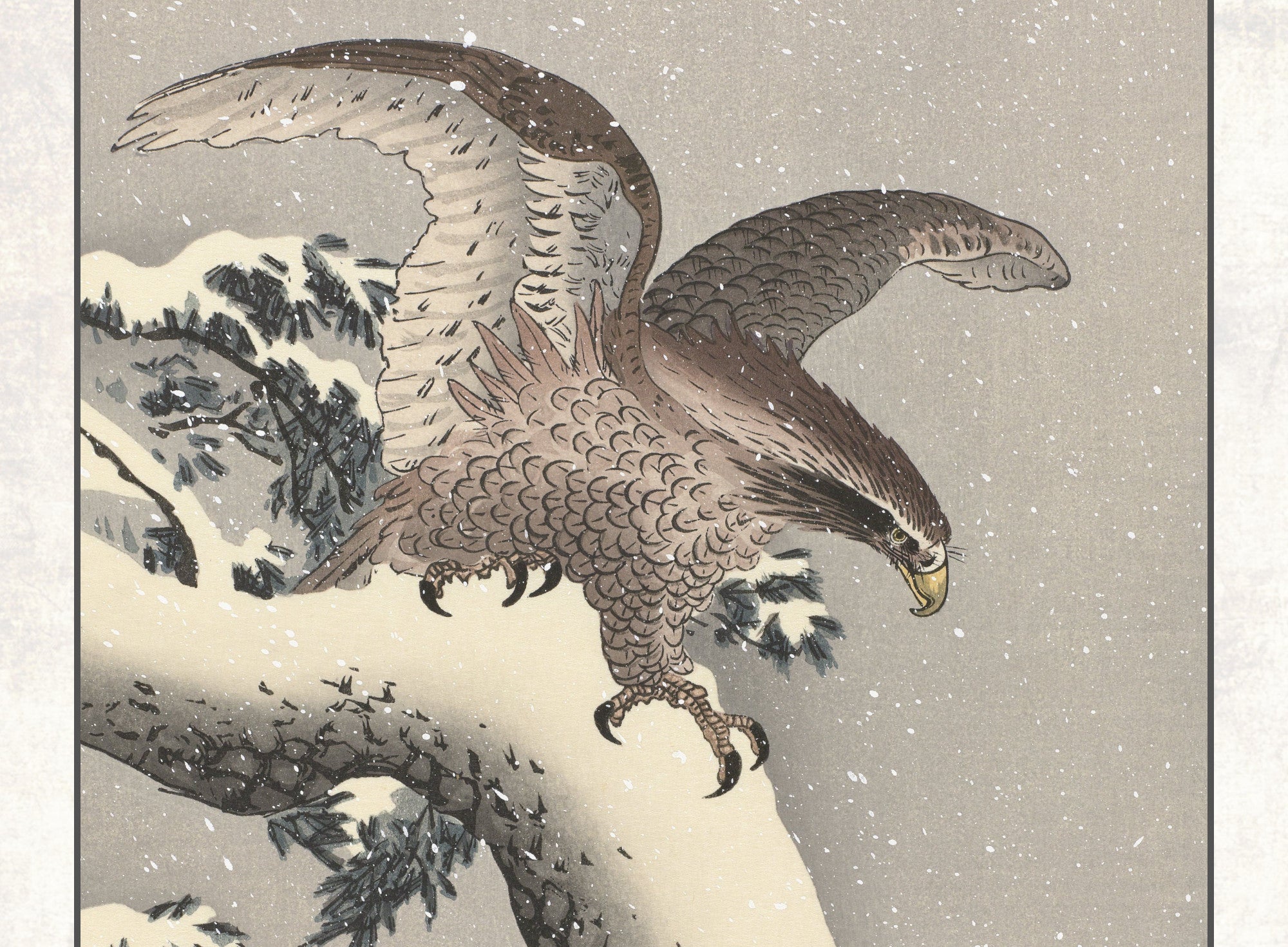 Ohara Koson Japanese Fine Art Print, Eagle on snowy pine tree