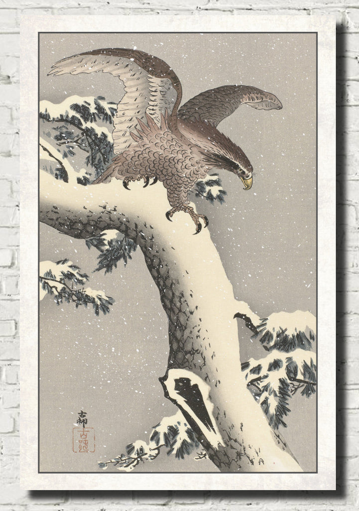 Ohara Koson Japanese Fine Art Print, Eagle on snowy pine tree