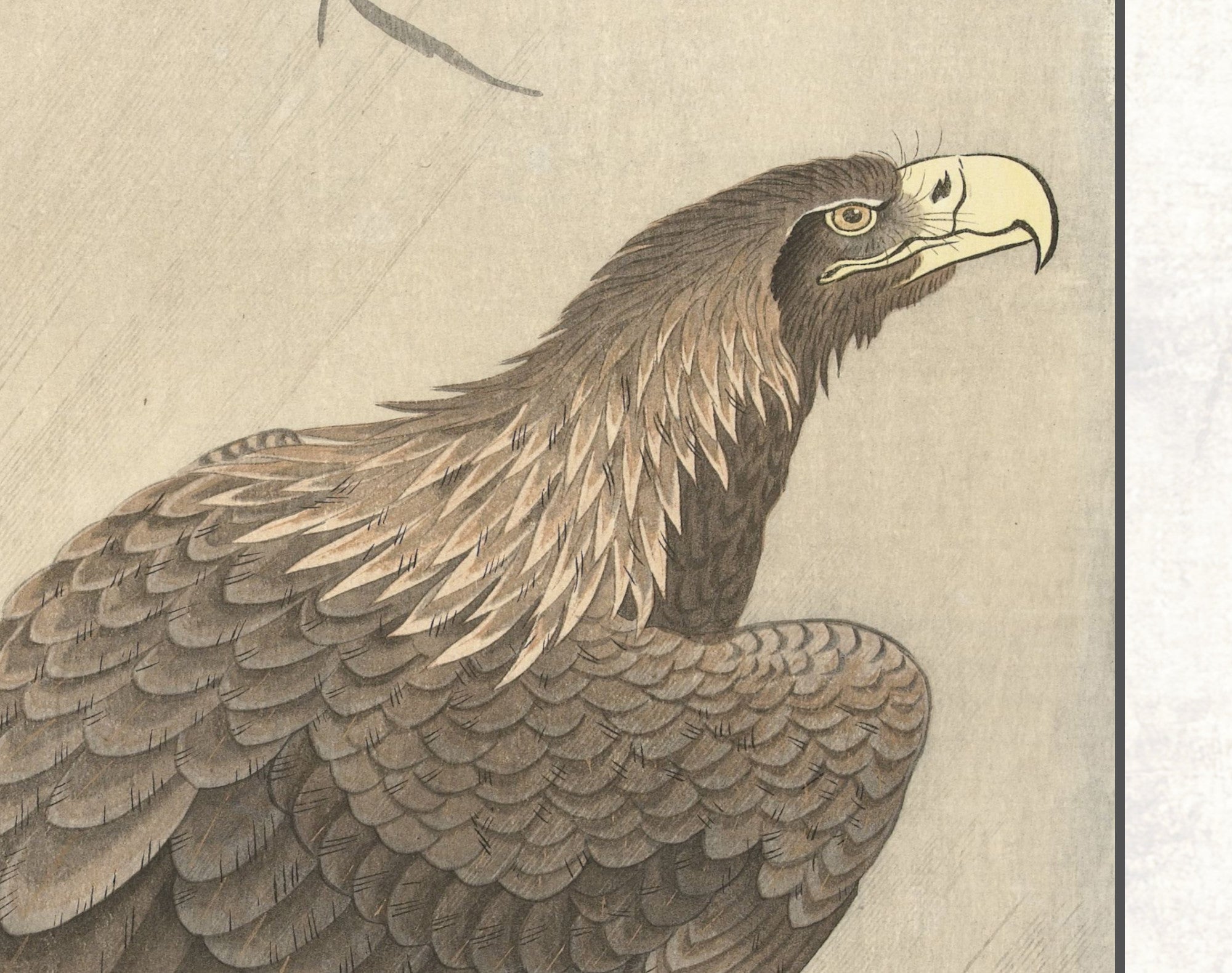 Ohara Koson Japanese Fine Art Print, Eagle on tree branch