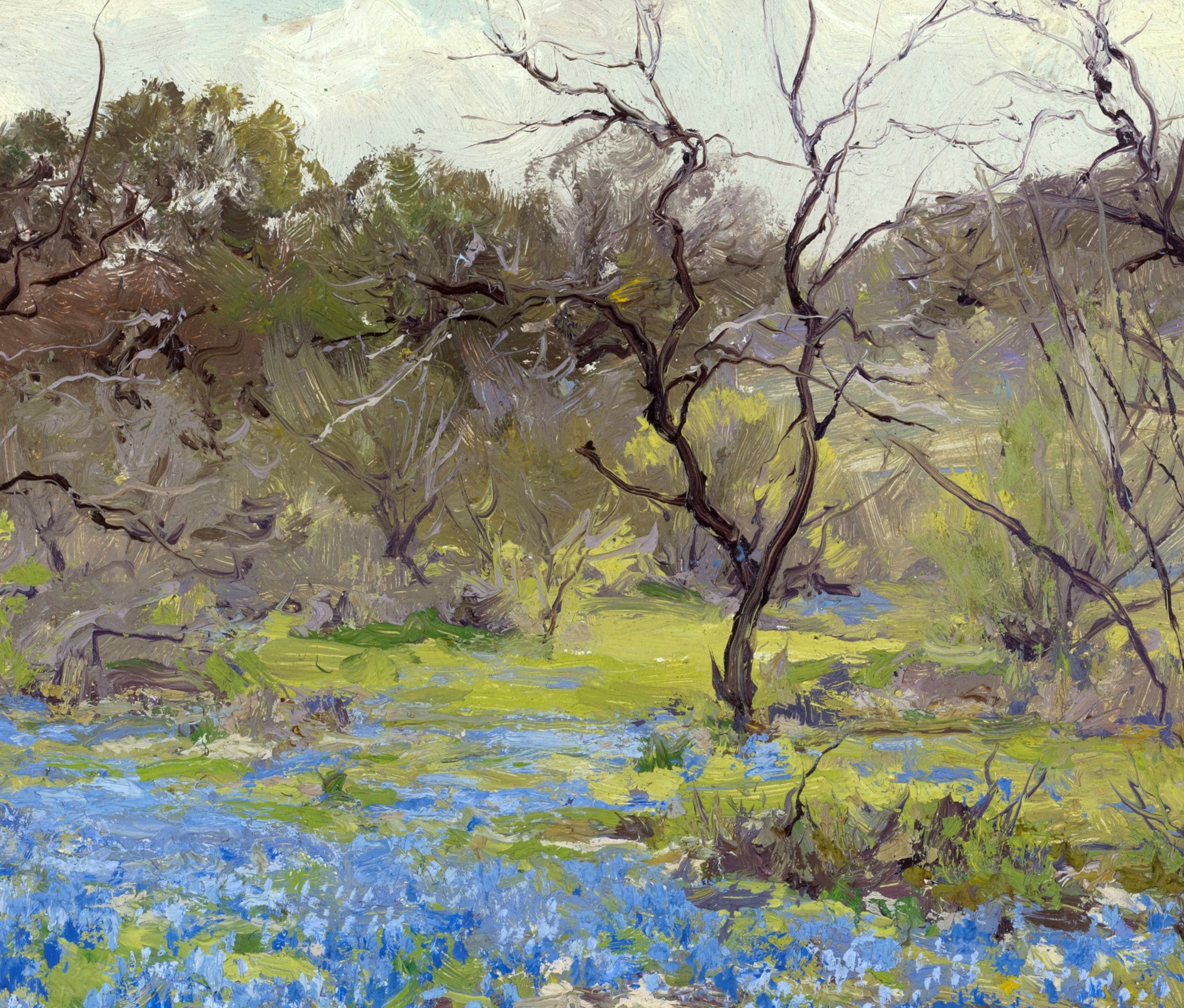 Julian Onderdonk Fine Art Print, Early Spring Bluebonnets and Mesquite