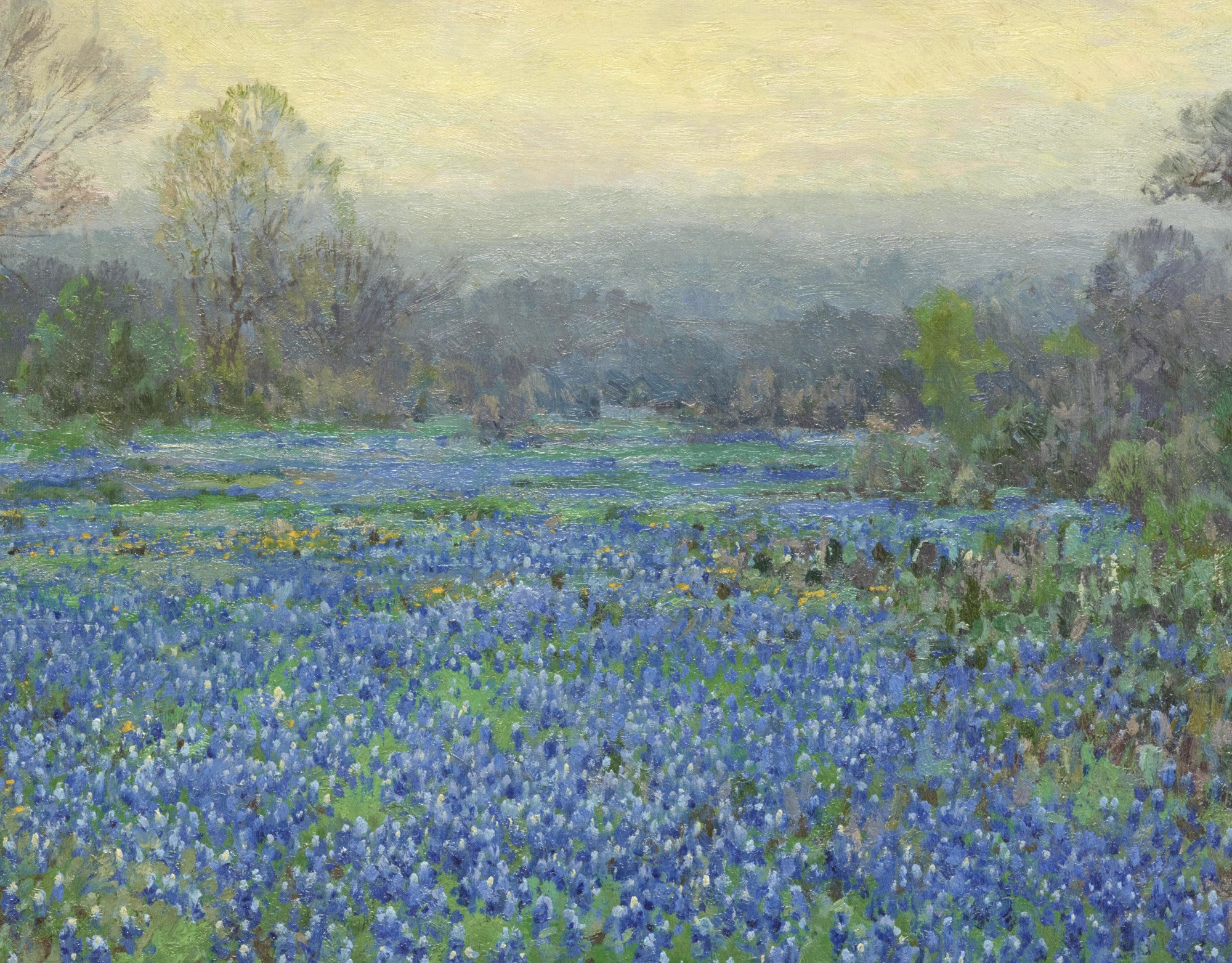 Julian Onderdonk Fine Art Print, Field of Bluebonnets