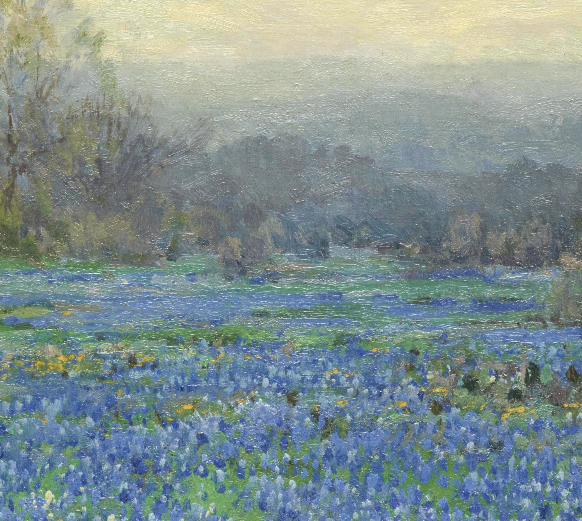 Julian Onderdonk Fine Art Print, Field of Bluebonnets