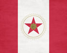 Birmingham Alabama City Flag Print