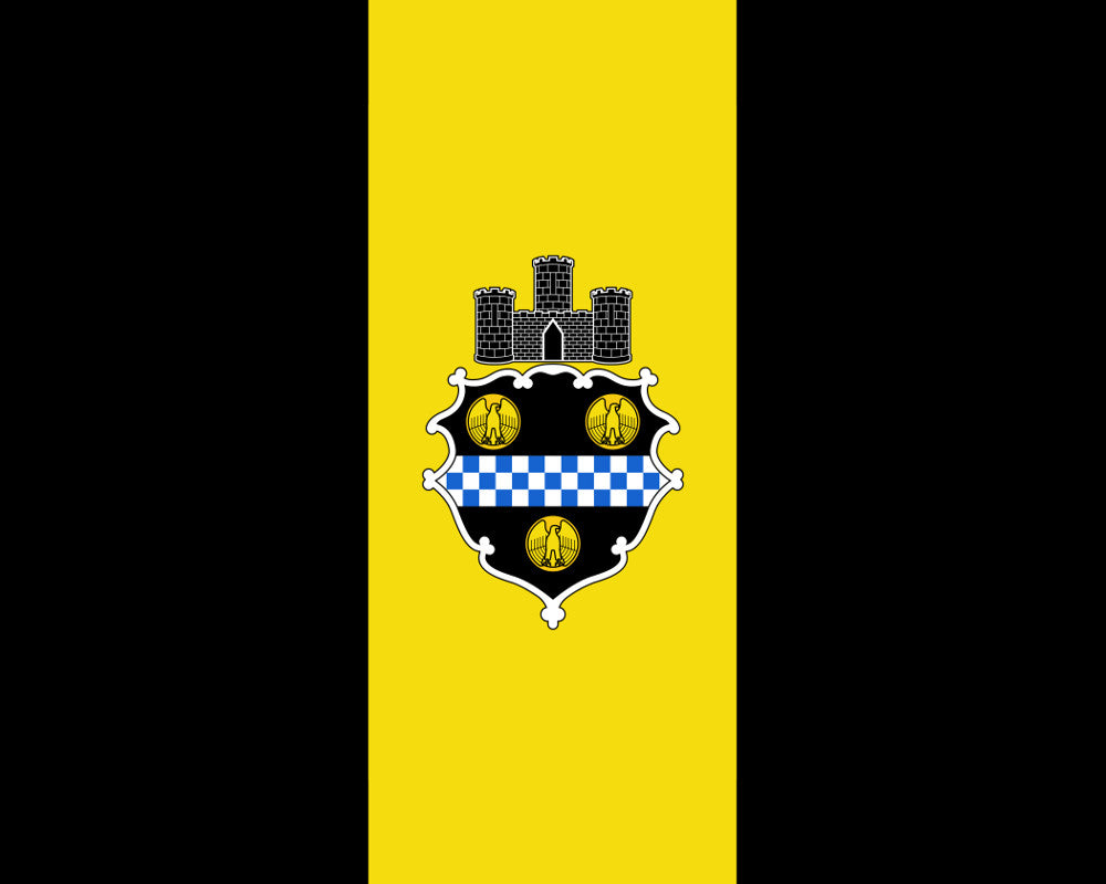 Pittsburgh Pennsylvania City Flag Print