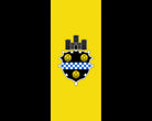 Pittsburgh Pennsylvania City Flag Print