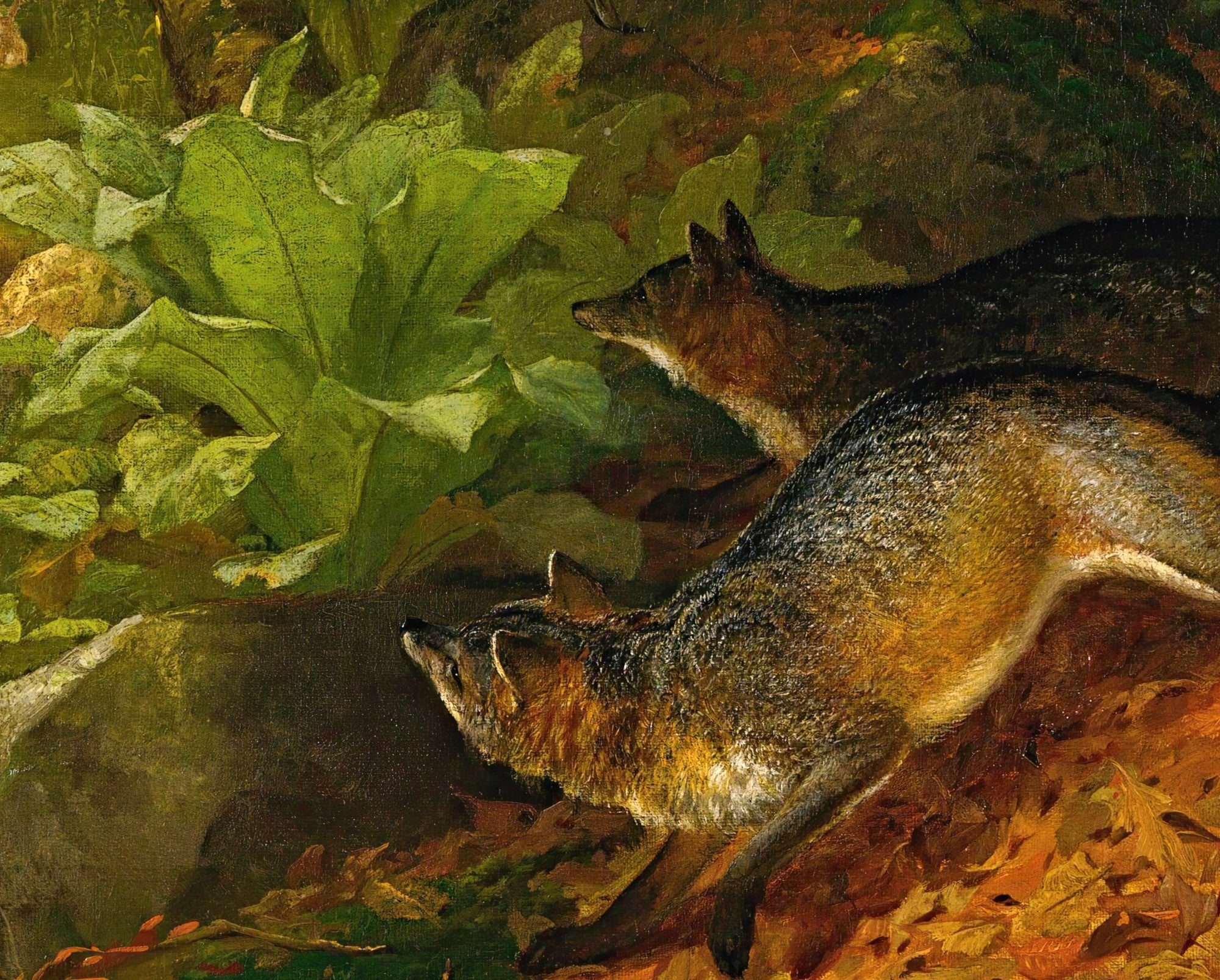 Foxes And Rabbits, William Holbrook Beard Fine Art Print