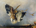Hawking, Edwin Landseer Fine Art Print