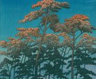 Hikawa Park at Ōmiya, Hasui Kawase, Japanese Art Print