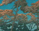 Hikawa Park at Ōmiya, Hasui Kawase, Japanese Art Print