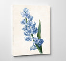 Hyacinthus Orientalis Print Vintage Book Plate Art Botanical Illustration
