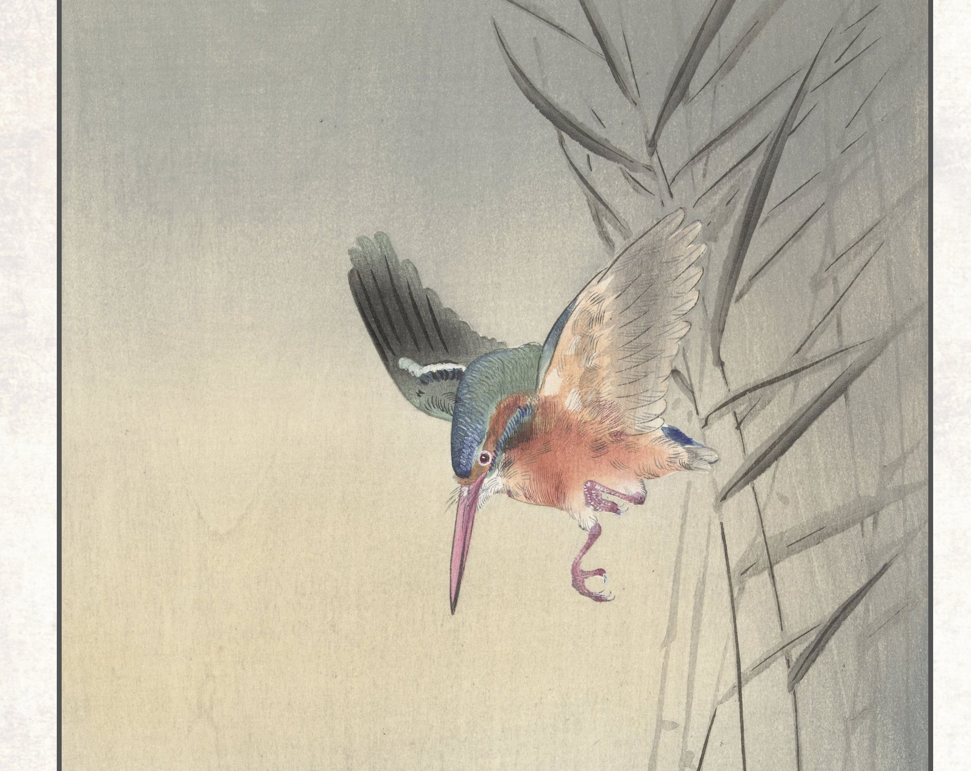 Ohara Koson Japanese Fine Art Print, Kingfisher hunting for fish