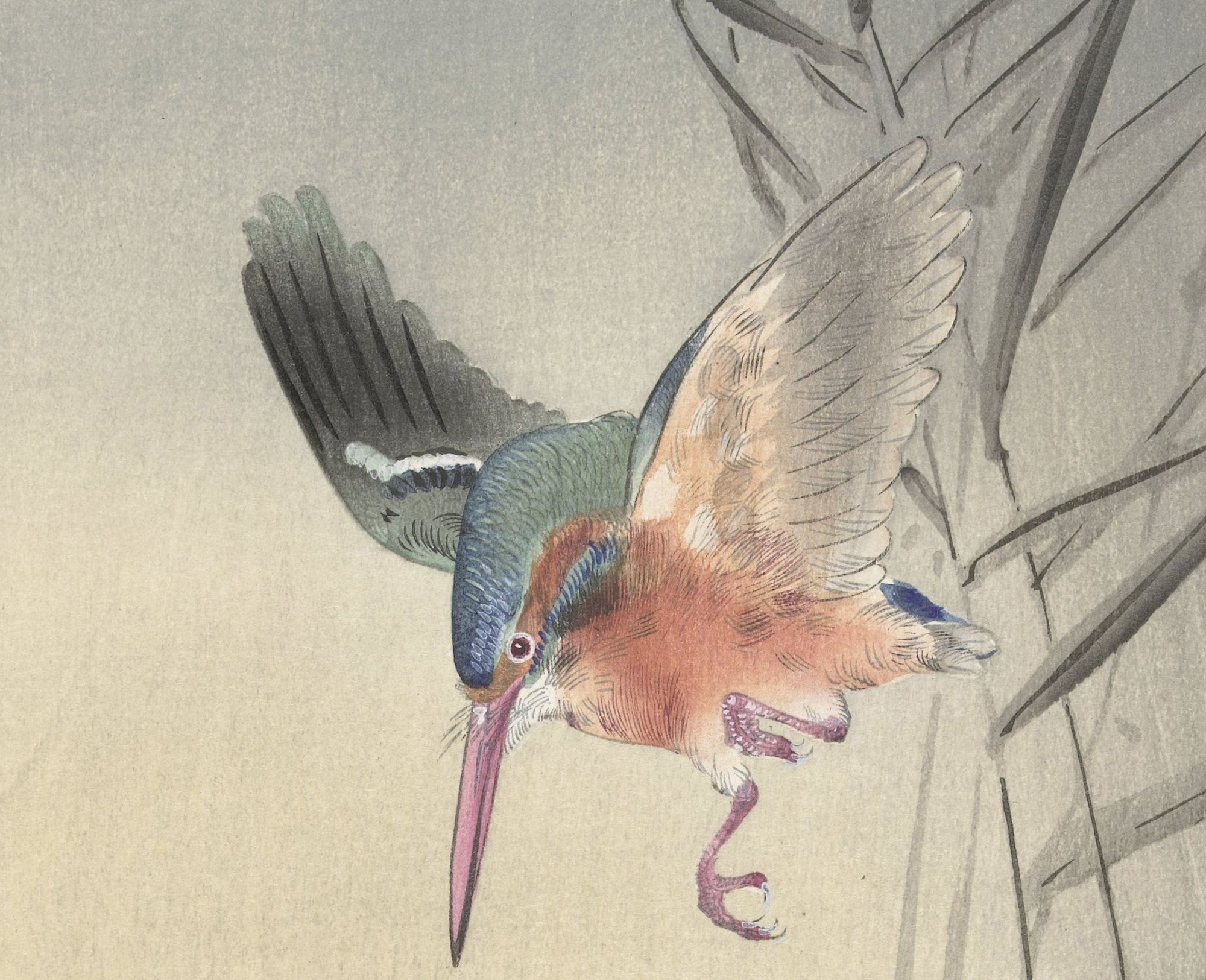 Ohara Koson Japanese Fine Art Print, Kingfisher hunting for fish