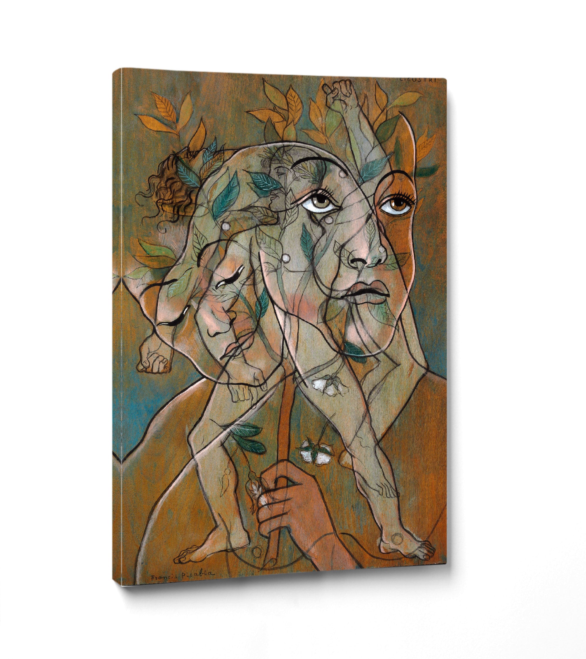 Ligustri, Francis Picabia Transparencies Series