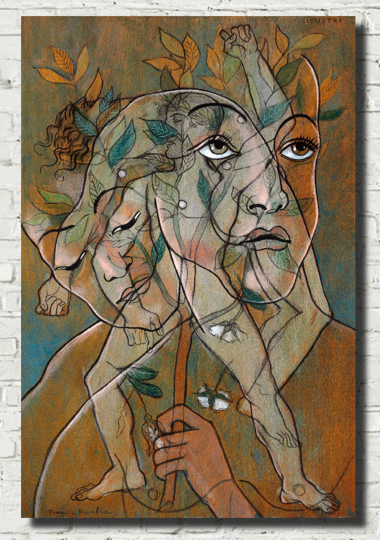 Ligustri, Francis Picabia Transparencies Series