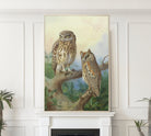 Little Owl And Scops Owl, Archibald Thorburn, Birds Print