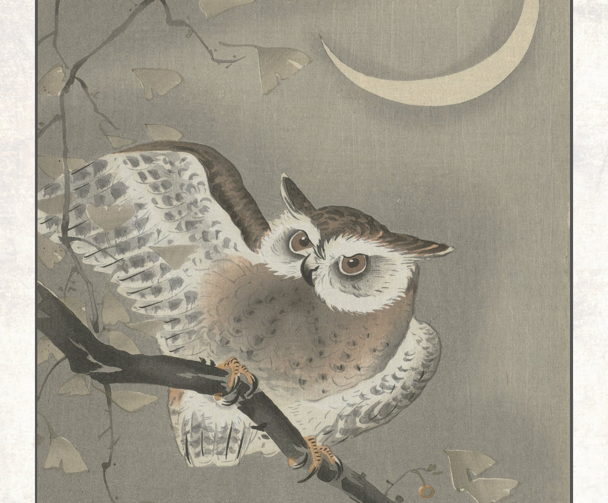 Ohara Koson Japanese Fine Art Print, Long-eared owl in ginkgo