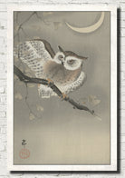 Ohara Koson Japanese Fine Art Print, Long-eared owl in ginkgo