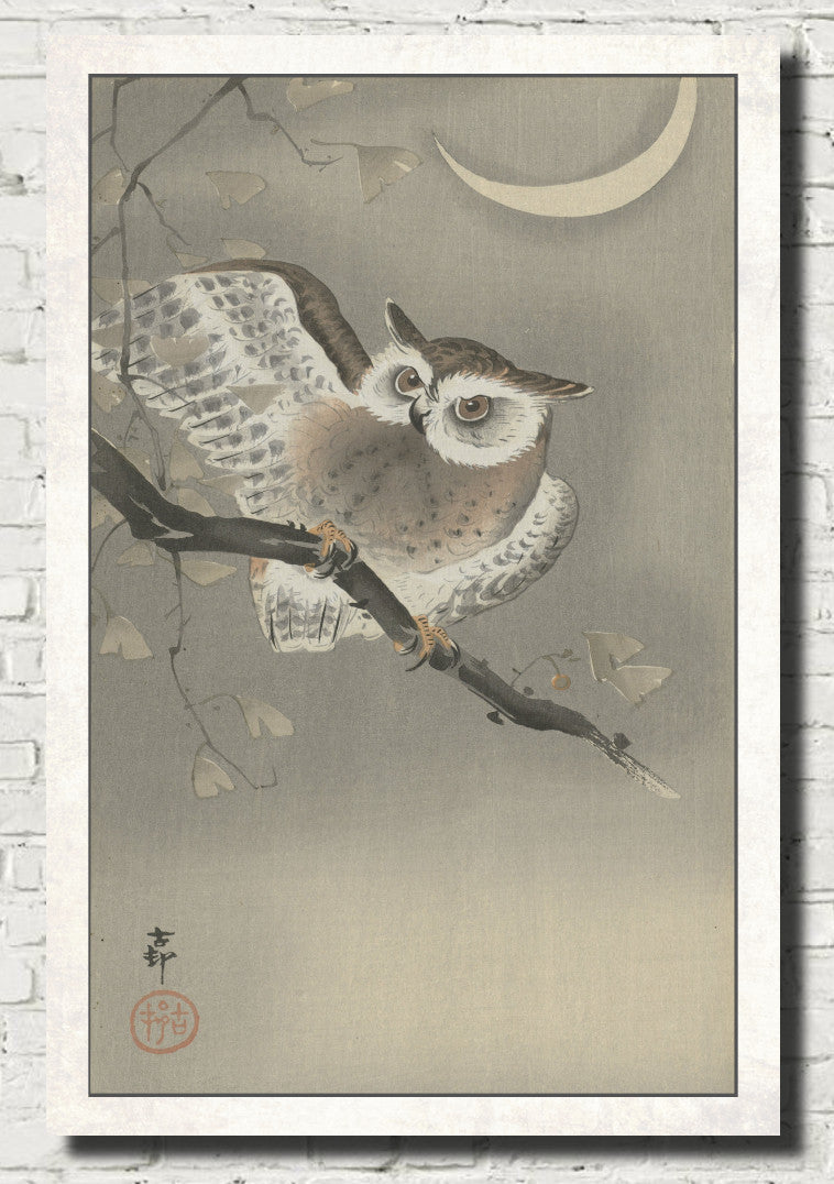 Ohara Koson Japanese Fine Art Print, Long-eared owl in ginkgo