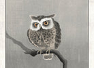 Ohara Koson Japanese Fine Art Print, Long-eared owl on bare tree branch