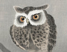 Ohara Koson Japanese Fine Art Print, Long-eared owl on bare tree branch