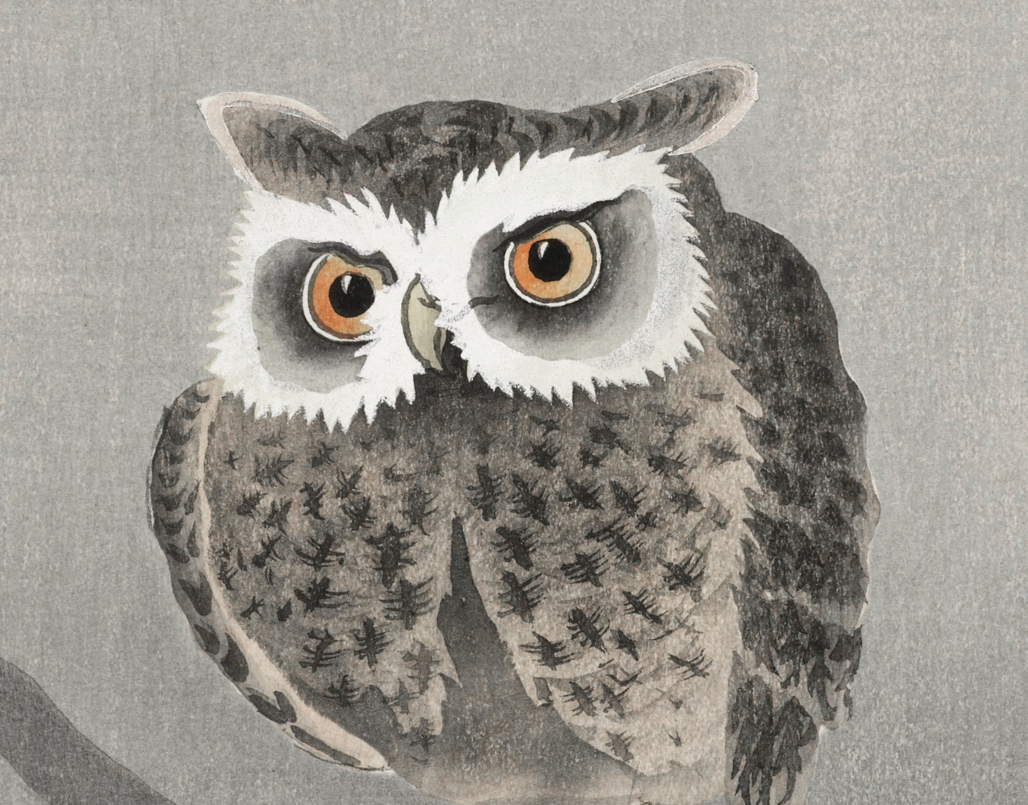 Ohara Koson Japanese Fine Art Print, Long-eared owl on bare tree branch