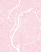 Lyon City Street Map Print Feature Wall Art Poster