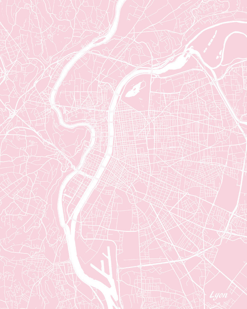 Lyon City Street Map Print Feature Wall Art Poster