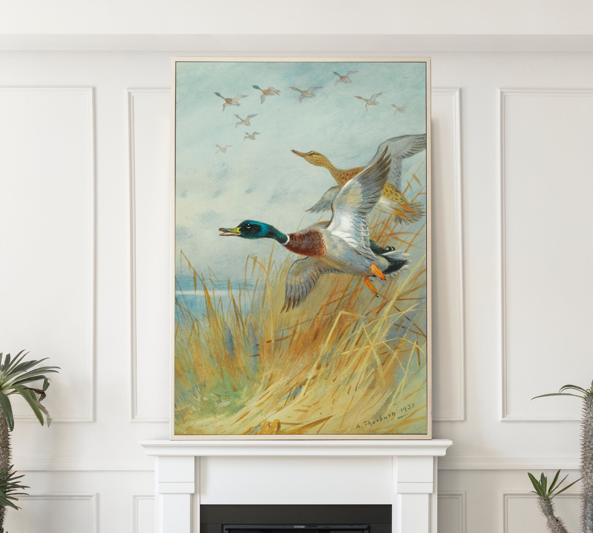 Mallard Rising, Archibald Thorburn, Birds Print