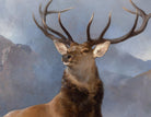 Monarch of the Glen, Edwin Landseer Fine Art Print