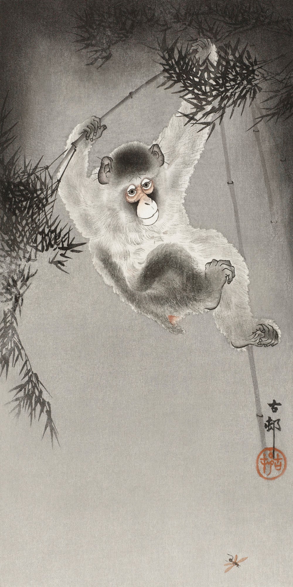 Monkey Hanging from Bamboo Japanese Fine Art Print, Ohara Koson - GalleryThane.com