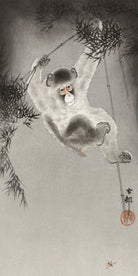 Monkey Hanging from Bamboo Japanese Fine Art Print, Ohara Koson - GalleryThane.com