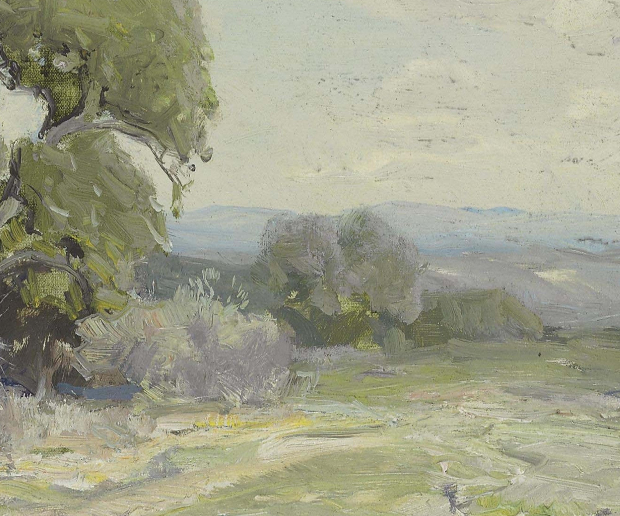 Julian Onderdonk Fine Art Print, Morning in the Live Oaks, Boerne, Texas