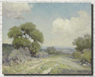 Julian Onderdonk Fine Art Print, Morning in the Live Oaks, Boerne, Texas