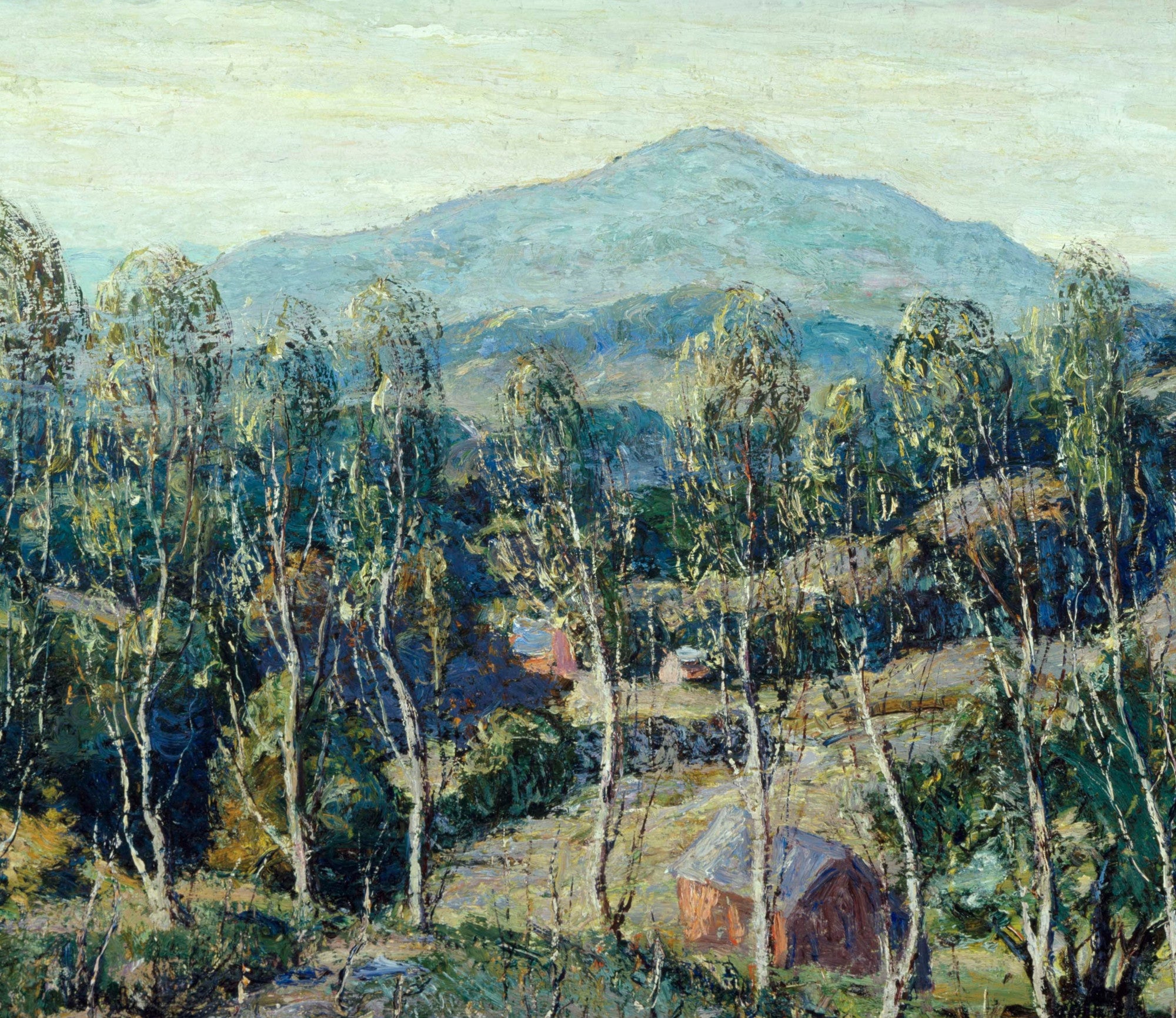 New England Birch Trees, Ernest Lawson Fine Art Print