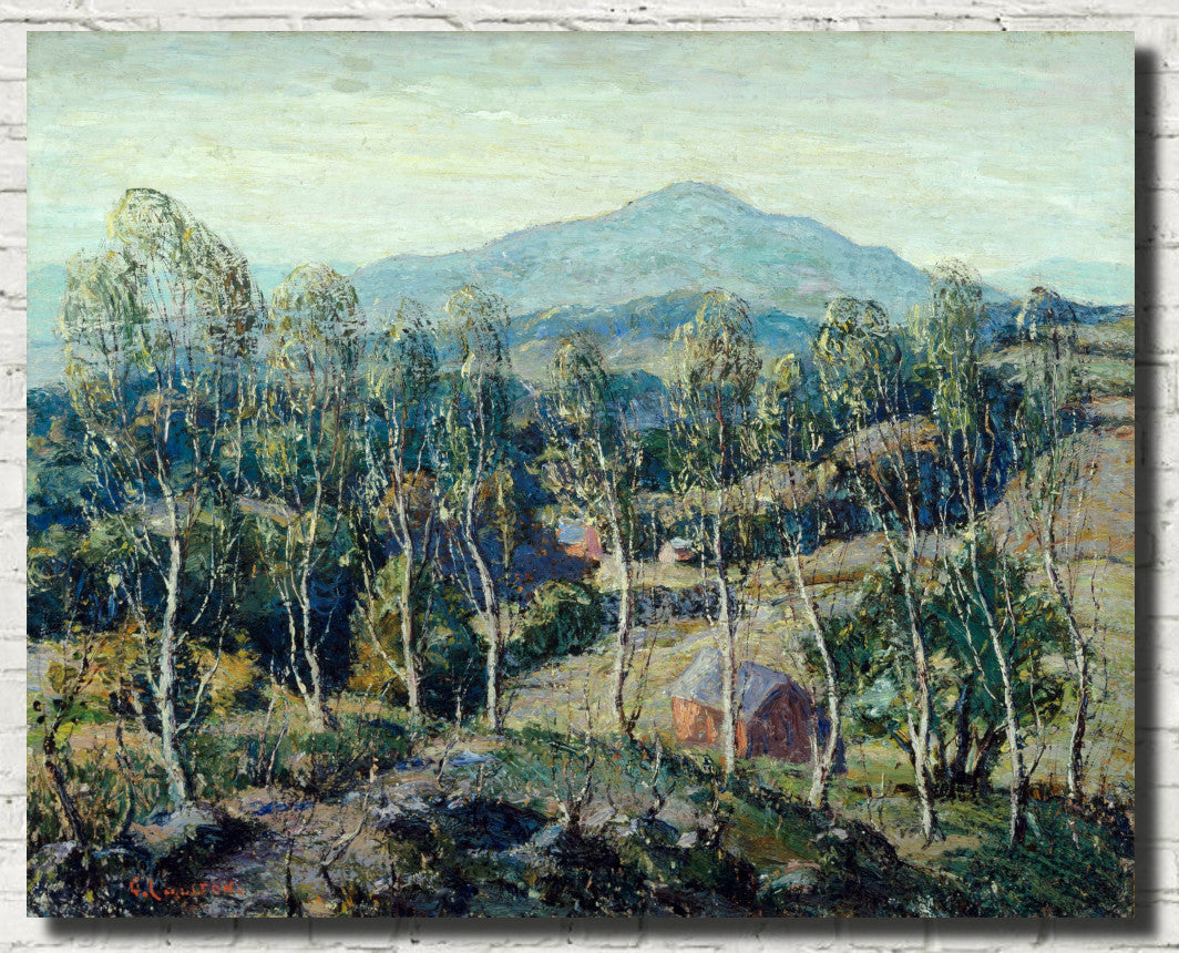 New England Birch Trees, Ernest Lawson Fine Art Print