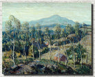 New England Birch Trees, Ernest Lawson Fine Art Print