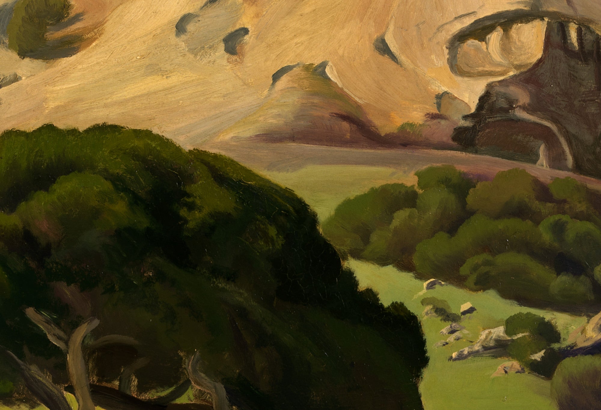 Oaks and Rocks, San Luis Obispo, Edward Bruce Fine Art Print