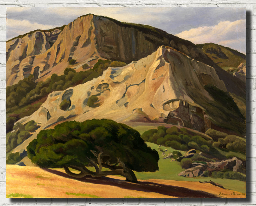 Oaks and Rocks, San Luis Obispo, Edward Bruce Fine Art Print