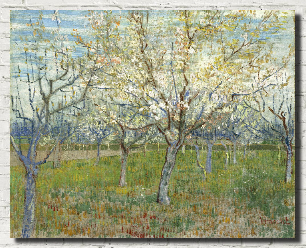 Vincent Van Gogh Fine Art Print, Orchard with Blossoming Apricot Trees