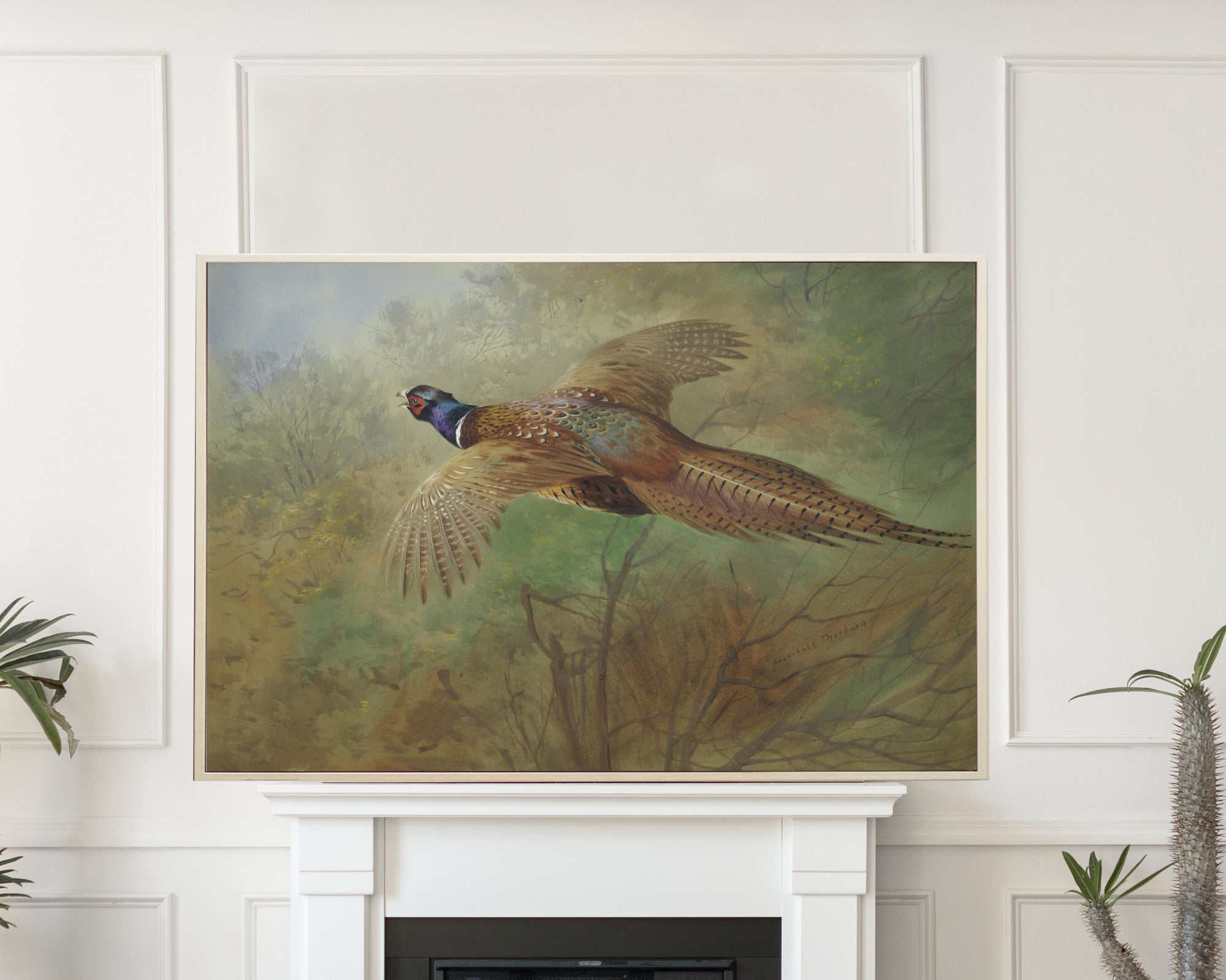 Pheasant In Flight, Archibald Thorburn, Birds Print