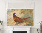 Pheasant, Archibald Thorburn, Birds Print
