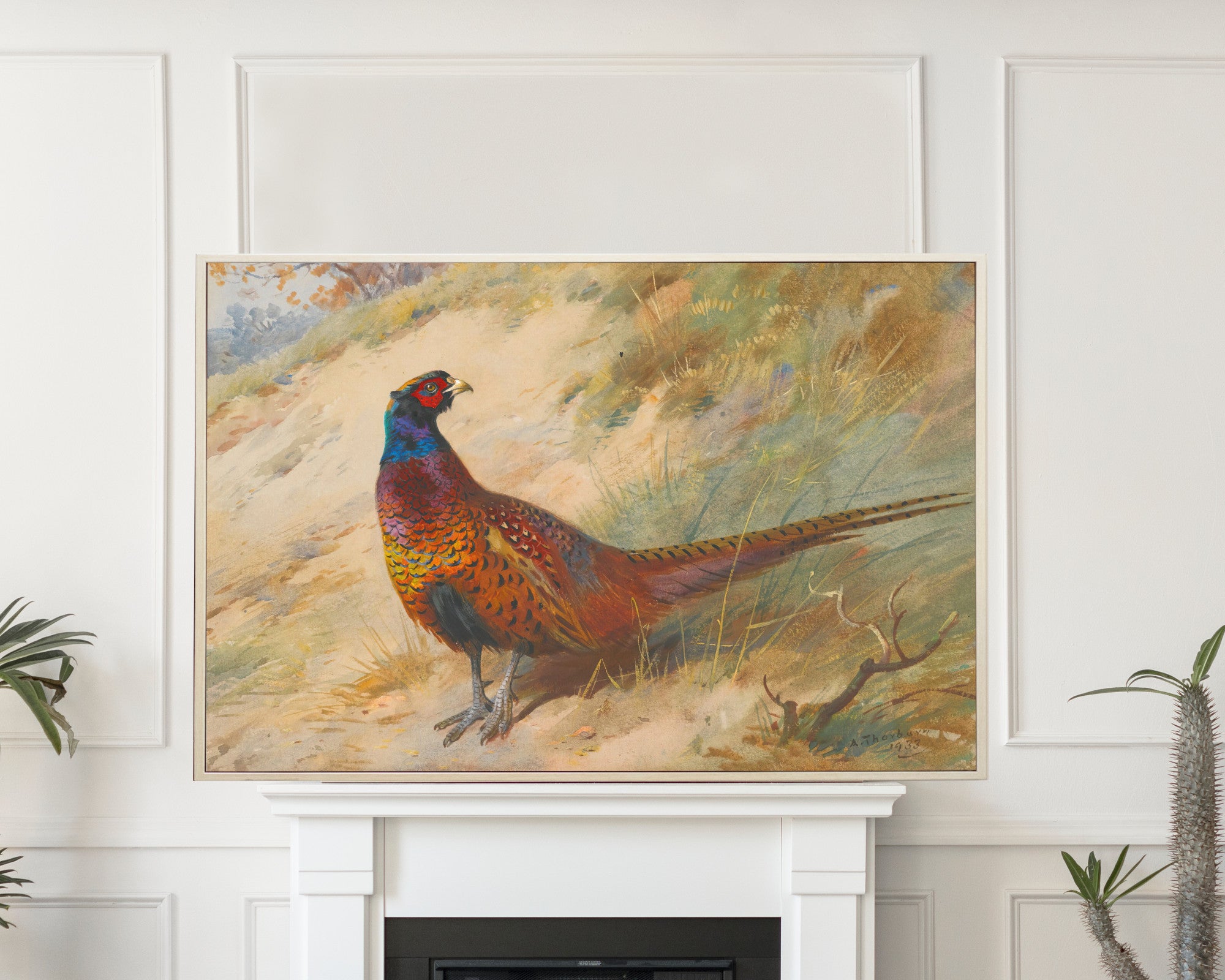 Pheasant, Archibald Thorburn, Birds Print
